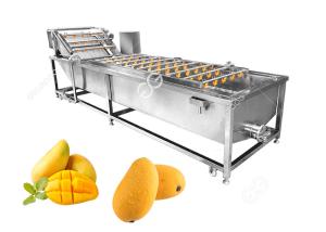 Quality Sterilization And Disinfection Mango Washing Machine Fruit Washing Machine Factory wholesale