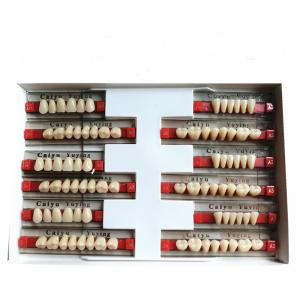 Quality Heraeus Dental Acrylic Resin Teeth High Stain Resistance Durability wholesale