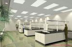 Commercial School Lab Furniture , Heat Resistant Steel Wood Biology Lab