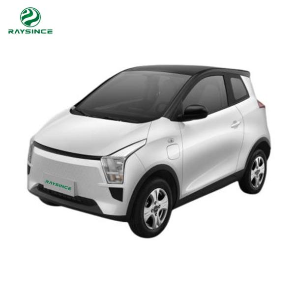 Raysince China Supplier Adult electric car Wholesale cheap price 25KW motor
