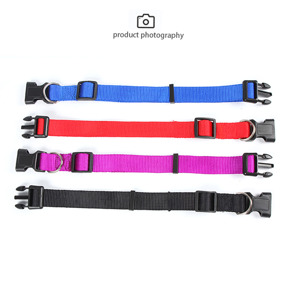 Dog Collar Oem Custom Luxury Personalized Logo Adjustable Pet Blank Plain Nylon Collars