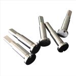 Mirror Polished SUS304 Mold Core Pins