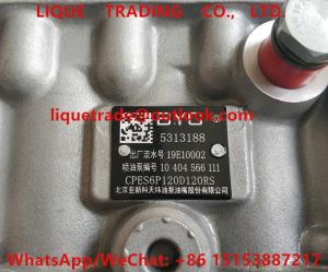 Quality Cummins Fuel Pump 5313188 , BYC PUMP 5313188 wholesale