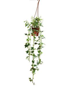 Quality Green And White Anti UV Artificial Foliage Leaves 70cm Height wholesale