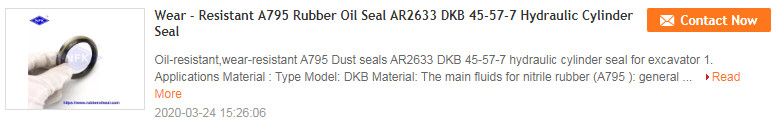 Palantine Ntr Nbr Cfw Skeleton Oil Seal High Pressure Resistance