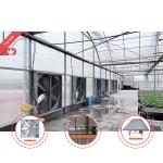 Thermostat Waterproof Plant Growing Hydroponics System Tunnel Large Greenhouses