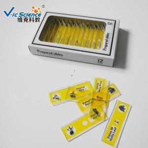 Quality Children Plastic Prepared Microscope Slides 12pcs Plant Series VIC59 wholesale