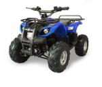 Factory supplier 48v / 60v 1500w sports quad bikes electric atv with lower price