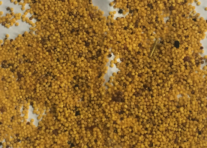630 Channels Large Capacity Yellow Rice Full Color Camera Color Sorter