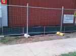 Temporary Fencing TAS area for sale hot dipped galvanized temporary fenicng site