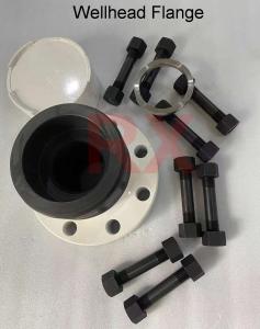 Quality Wireline Pressure Control Equipment Alloy Steel Wellhead Flange wholesale