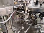 Plantain Dried Fruit Automatic Rotary Packing Machine 100g 1000g Weighing