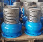 DN250 PN16 GG25 Screen SS304 foot valve
