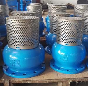 Quality DN250 PN16 GG25 Screen SS304 foot valve wholesale