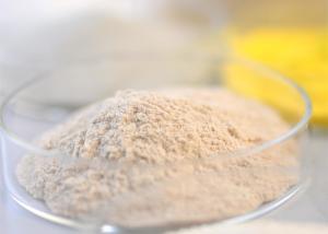 Quality Food Grade Thermostable Alkaline Protease Bioenergy Enzyme Food Enzyme wholesale