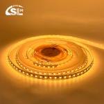 SMD2835 120LED 5mm 8mm CCT LED Strips for Cabinet Decoration Linear Light -20
