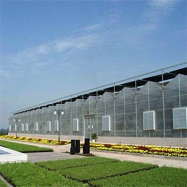 Water Saving Commercial Hydroponic Greenhouse Easy Manage Without Regional Restrictions