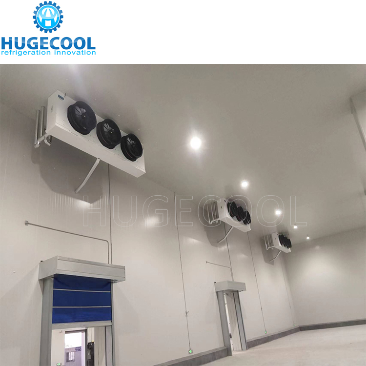 Cold Room For Fruits And Vegetable Fish Meat Seafood Storage Keep Cool Room