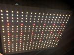 Igrowbio 100W Full Spectrum LED Grow Lights