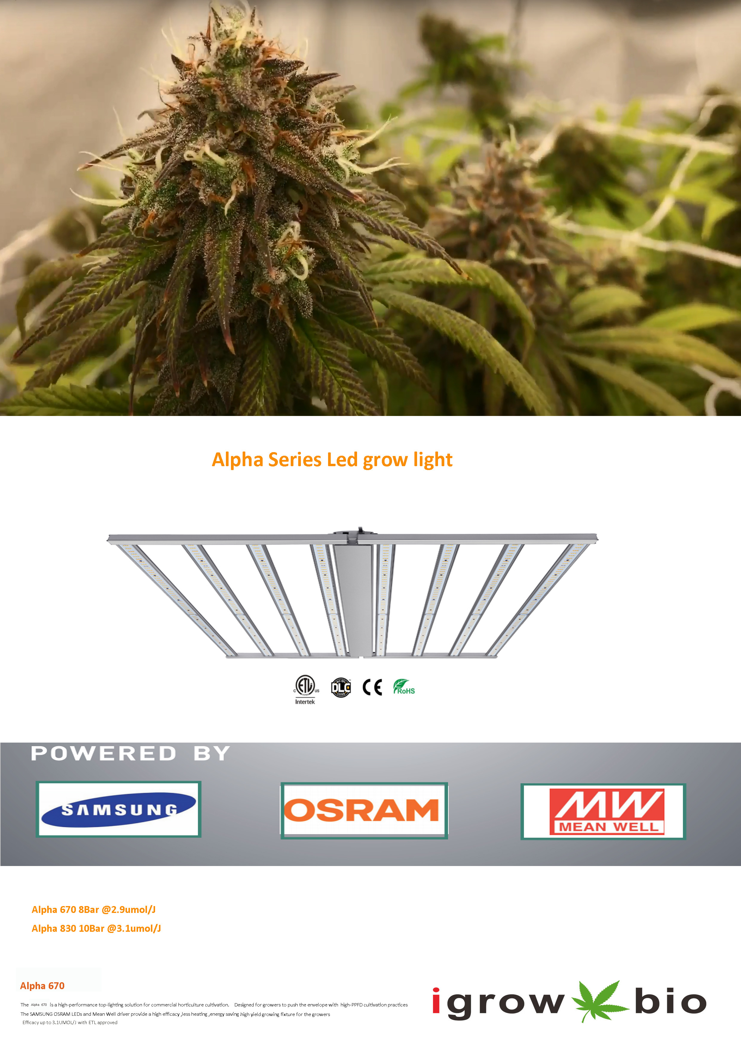 660nm 4000K Horticulture LED Grow Lights With UV