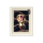 Colorful Amazing Animal 5D Pictures 12x17 Inches 0.6mm PET Material
