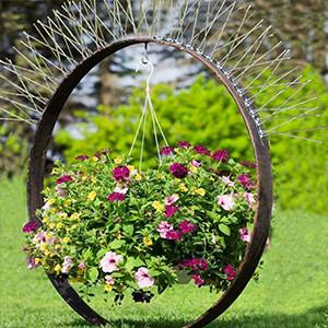 Quality Spikes for birds animal stainless steel bird spikes window sills wholesale