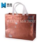 Best Quality Aluminum Film Laminating Non Woven gift Bag With tension test