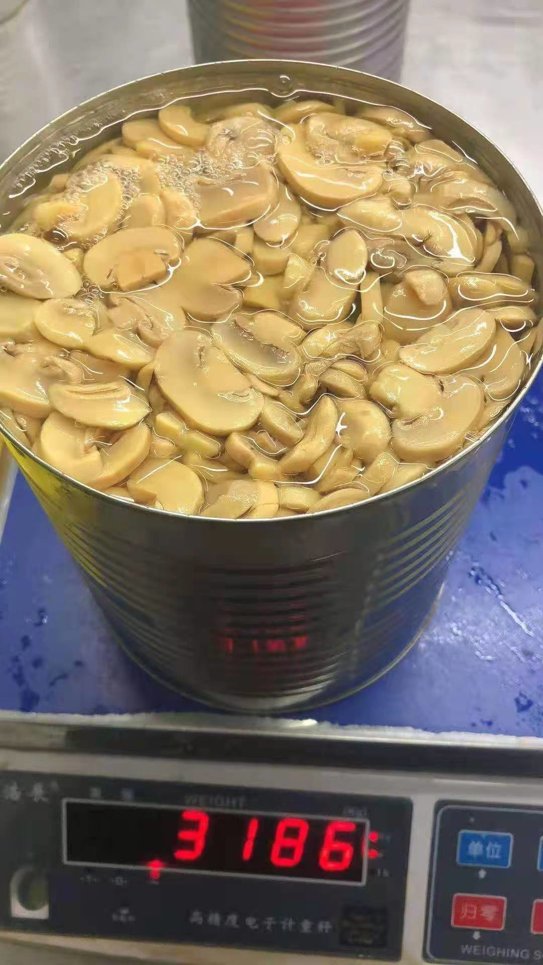 HALAL 2840g Typical Flavor Canned Champignon Mushroom PNS