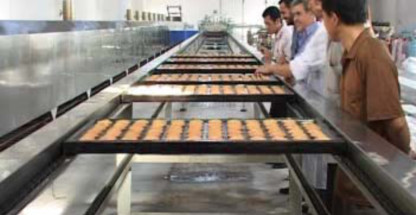 PD600 Semi Automatic Cake Machine Cupcake Production Line Muffin Custard Cake Making Equipment Machinery