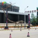Sunproof Life Size Dinosaur Model Skeleton Mamenchisaurus Skeleton 15m