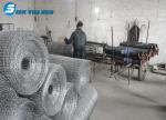 Hexagonal wire mesh/netting