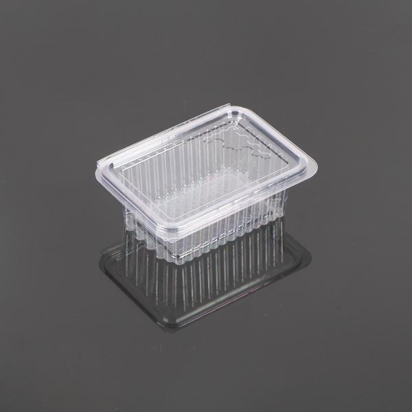 Hengmaster Food Grage Disposable Plastic Honeycomb Container Disposable PET