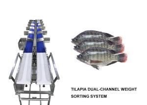 Quality Waterproof 12 Grades Multihweight Sorter Machine For Fresh Food Fish / Sausage / Yolk wholesale