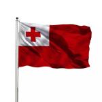 100% Polyester Tonga National Flag Single / Double Sided Printing 3x5Ft