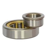 100% GCR15 Nj203 NJ204 NJ207 Cylindrical Roller Bearing