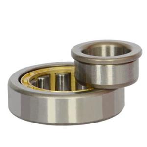 Quality 100% GCR15 Nj203 NJ204 NJ207 Cylindrical Roller Bearing wholesale