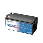 Jarwin 12.8V 50Ah 12V Lead Acid Replacement Lithium Battery 0.64KWH 4S1P