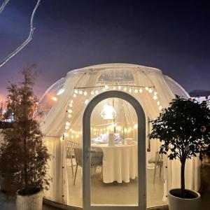 Quality Prefab Houses Bubble Hut Tent Bubble Igloo Tent Weather Bubble Tent wholesale