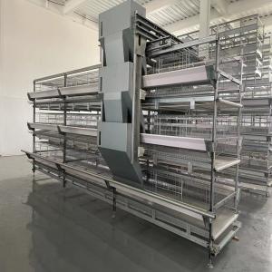 Quality 65*62.5*50 Cm Size Battery Chicken Cage Farming 380V For Rearing House wholesale
