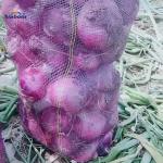 PE Agriculture Fruit Protection Bags Drawstring for Bulk Sale by Rachel Onion