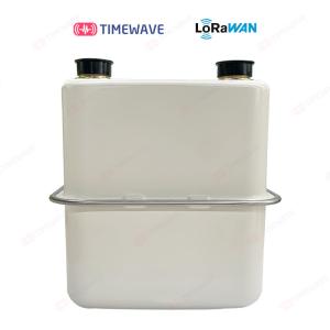 Quality IP68 Protection Level Pre payment LoRaWAN Gas Meter With LCD Screen wholesale