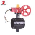 API598 FM UL Disc 300PSI Centerline Flange Butterfly Valve