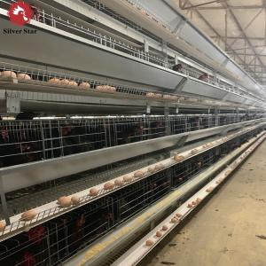 Quality Galvanized Battery Cage System For Egg-laying Hens wholesale