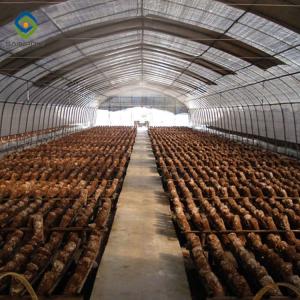 Quality Mushroom 30m Light Dep Greenhouse Polythene Film Covered wholesale