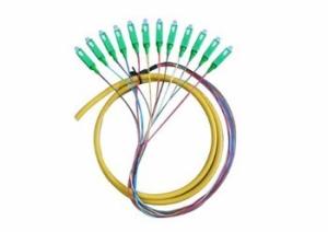 Quality SC/APC SM 12Core Pigtail wholesale