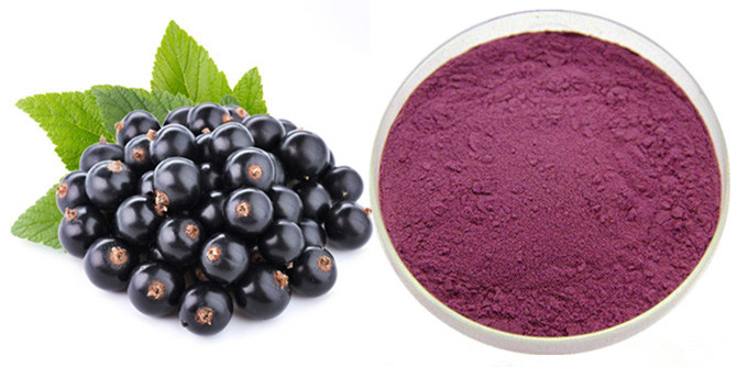 Concentrated Juice Black Currant 10% Anthocyanin Extract Powder