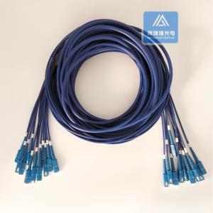 Quality 12 Cores Stainless Steel Armored Patch Cord SC-SC-30m Blue PVC 5.0mm Rodent Resistant wholesale