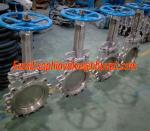 rising stem ANSI stainless steel knife gate valve