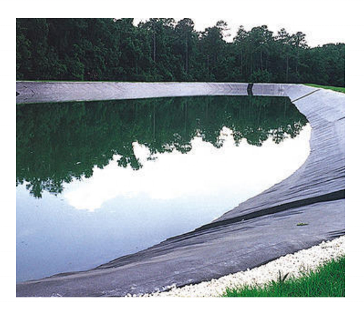 HDPE Geomembrane Sheet for Fish Farm Tank Pond Tarpaulin Liner Piscine at Affordable