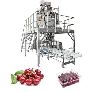 Quality Automatic Fruit Packing Machine Apple Cherry Tomato Canning Packing Kumquat Tray Packaging Machine wholesale